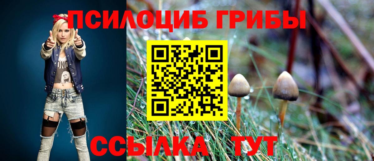 Улан-Удэ  Псилоцибиновые грибы прущие грибы  Вход с VPN  Галлюциногенные грибы мицелий 